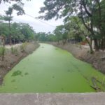 পূন: খননে প্রান পেল মরা মুছার খাল